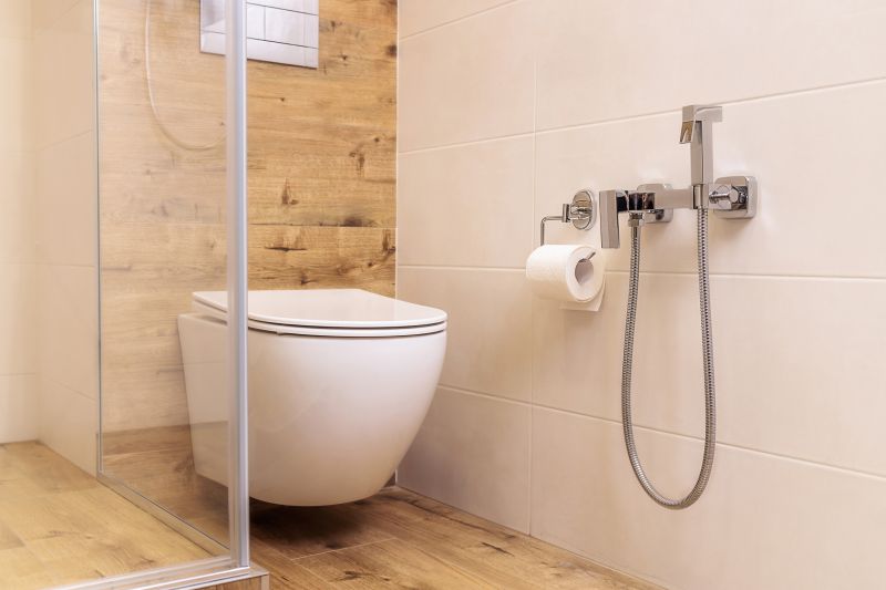 Modern Toilet and Bidet